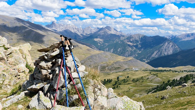 hiking sticks